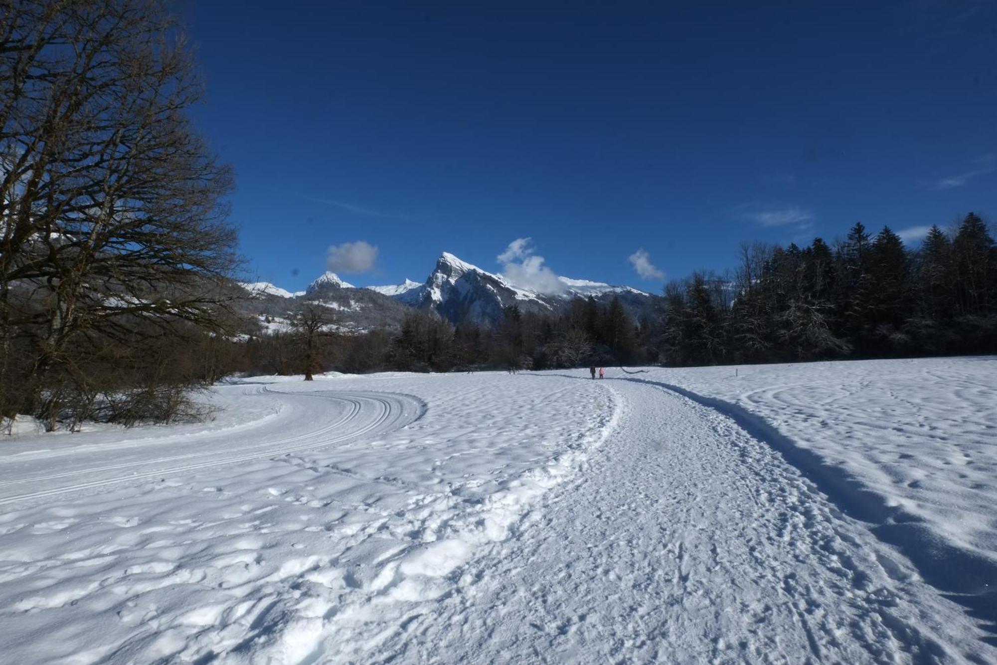 Particulier Loue 2 Appartements Communicants Dans Chalet A Samoens Jusqu A 16 Couchages Kültér fotó